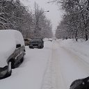 ���� ������, �����, 73 ���� - ��������� 1 ����� 2013 � ������ �������