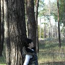 ���� �����, ��������������, 33 ���� - ��������� 15 ������� 2011 � ������ �������