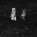 ���� Luminescence, �������� - ��������� 30 ��� 2013 � ������ ���� ����������