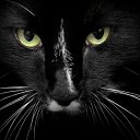 ���� �����, ��������, 34 ���� - ��������� 9 ���� 2011 � ������ �������