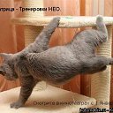 ���� ������, ������������, 51 ��� - ��������� 11 ������ 2010 � ������ ������� �������� �� ����..�