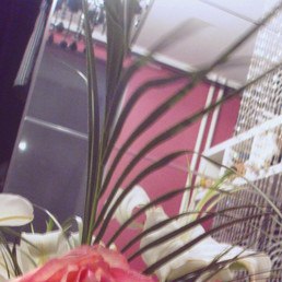 ������, ������, 34 ����