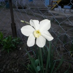���� ���������, ������, 59 ��� - ��������� 8 ������� 2012