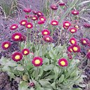 ���� ������, ������, 63 ���� - ��������� 6 ����� 2012 � ������ ���� ������