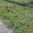 ���������.���� �� ������� ������. �� ������� ��Ψ ����� ����������.�