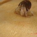 ���� �������������, �����-��������� - ��������� 1 ������� 2009 � ������ �������