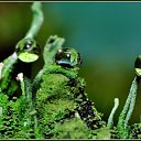 ���� ������, ������, 34 ���� - ��������� 26 ��� 2010 � ������ ����� � ��������