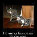 ���� ������, �����-���������, 48 ��� - ��������� 16 ������� 2011 � ������ ���������