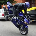 ���� �������, �����������, 29 ��� - ��������� 21 ������ 2011 � ������ ��������
