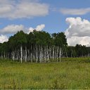  Sergey, , 65  -  23  2011   