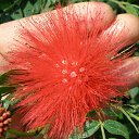 ����������� ����� �� ������� ������������