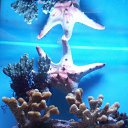 ���������...... �� ������� �����������....�