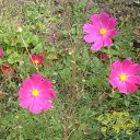 ���� �������, ���������, 61 ��� - ��������� 12 ������� 2009 � ������ ���� ������