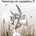 ���� Mr, ���, 37 ��� - ��������� 10 ������� 2012