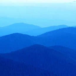 ���� ����, ������, 41 ��� - ��������� 27 ������ 2010