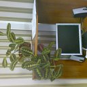 ���� ����, ������, 30 ��� - ��������� 28 ��� 2009