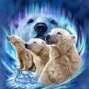 ���� ����, �������, 36 ��� - ��������� 7 �������� 2012 � ������ �������