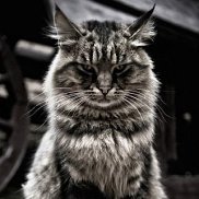 ������� ������, 33 ����, ������