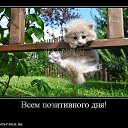 ���� ������, �����������, 64 ���� - ��������� 4 ��� 2013 � ������ ���� ����������