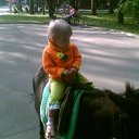 ���� ������-������� ��� ���� �����, ��������, 85 ��� - ��������� 10 ������ 2010 � ������ �������� ����