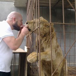 ���� �������, ���������, 51 ��� - ��������� 8 ���� 2013