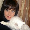 ���� ������, ���-��, 51 ��� - ��������� 8 ������ 2012 � ������ ���� ����������