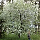 ���� Al, �����-���������, 56 ��� - ��������� 20 ���� 2010 � ������ �������