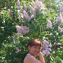 ���� ���, ������, 51 ��� - ��������� 26 ������� 2012 � ������ ���� ����������