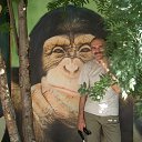 ���� ������, �����������, 63 ���� - ��������� 14 ����� 2012 � ������ ���� ����������