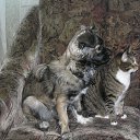 ��� ��� � ������ �� ������� ����� ��� ������������