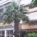 ���� �������, ��������� - ��������� 9 ������ 2013 � ������ �������� � ������