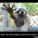  Max, -, 44  -  2  2013    