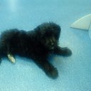 ���� ������, �������, 29 ��� - ��������� 11 �������� 2010 � ������ �������