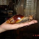 ���� �����, �����-���������, 57 ��� - ��������� 25 ������ 2009 � ������ �������