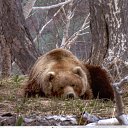 ���� ����, �������������-����������, 70 ��� - ��������� 1 ������� 2011 � ������ ���� ����������