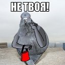 ���� Smail, ��������� - ��������� 11 ������� 2012 � ������ �������