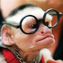 ���� �����, ��������, 46 ��� - ��������� 11 ������� 2013