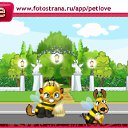  , , 24  -  12  2010   PetLove