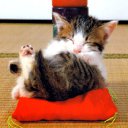 ���� ���������, ����-��������� - ��������� 15 ���� 2013