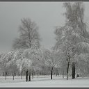 ���� *�������*, ����� - ��������� 5 ������ 2012 � ������ �������