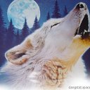 ���� Valera, ������ - ��������� 23 ������ 2013 � ������ ���� ����������