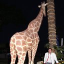 ���� Private, ������, 46 ��� - ��������� 6 ��� 2012 � ������ ���� ����������