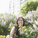 ���� ����!, ���������� - ��������� 17 ������ 2012 � ������ ���� ����������