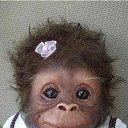 ���� �������, ������, 71 ��� - ��������� 24 ����� 2013 � ������ ��������))�