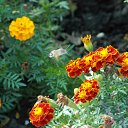 ���� ���������, ���������� - ��������� 22 ������� 2010 � ������ ������� � ��������...�