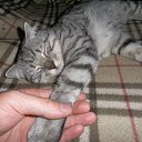 ���� ����� (=^.^=)_____?, �������� - ��������� 25 ���� 2013 � ������ ���� ����������