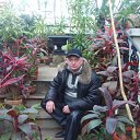 ���� ����, �����-���������, 62 ���� - ��������� 17 ������ 2012 � ������ ���� ����������