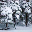 ���� ���������, ���������� - ��������� 10 ������ 2010 � ������ �*** ������� ***�