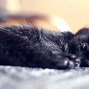 ���� Vitaly, ��������, 50 ��� - ��������� 10 ���� 2013 � ������ ���� ����������