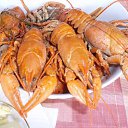 ���� �������, �����-��������� - ��������� 28 ���� 2011 � ������ ���� ����������